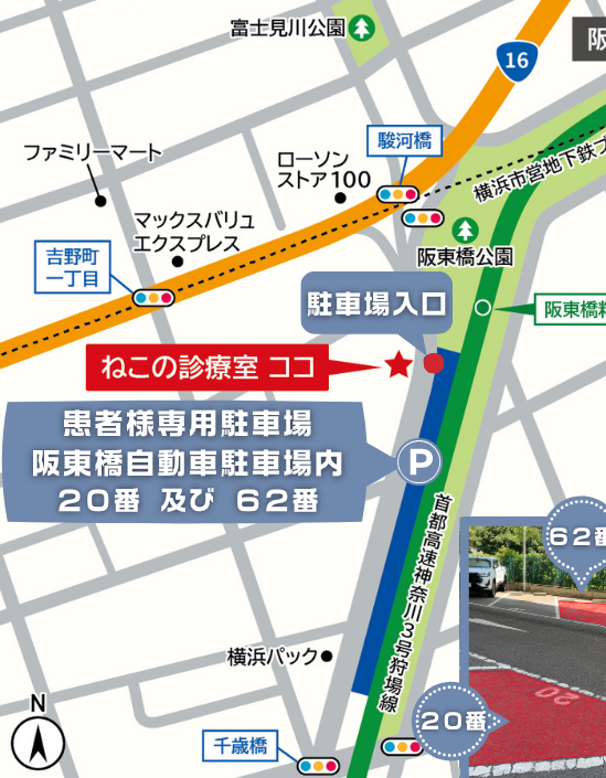 マップ