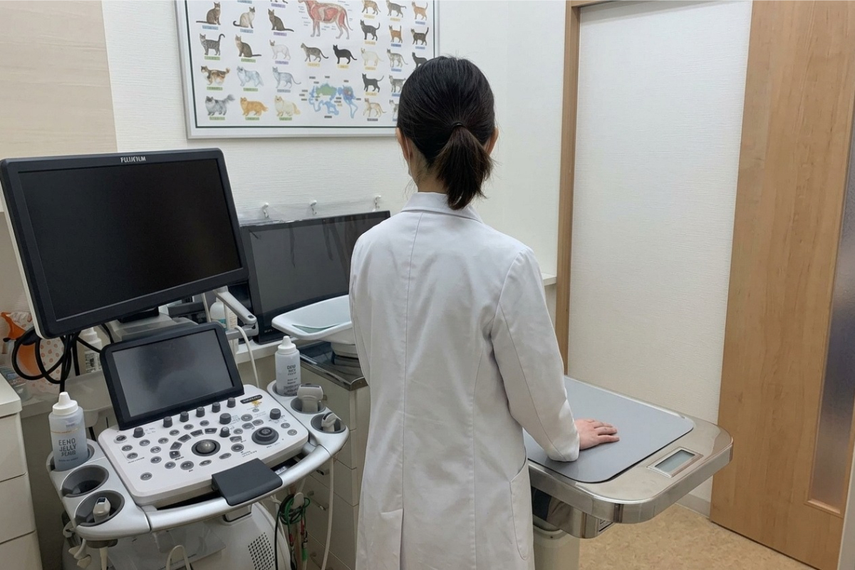 予防診療・日常ケア