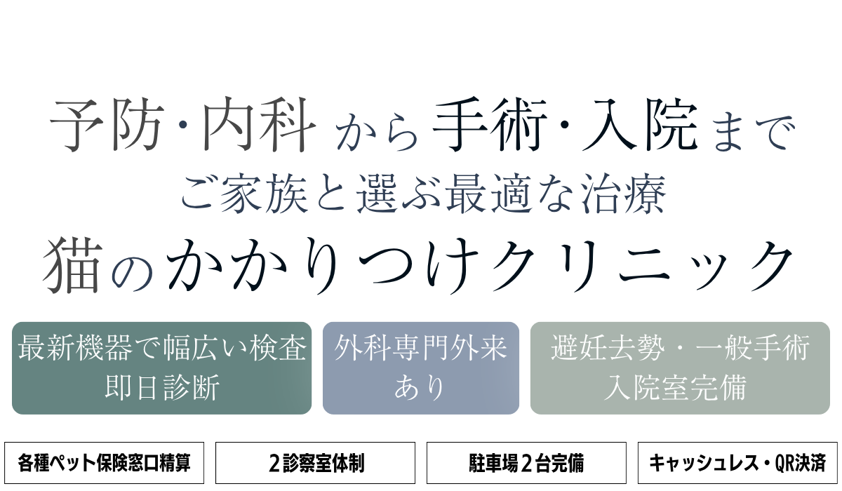 予防内科から手術入院まで気軽に相談できる猫のかかりつけクリニック