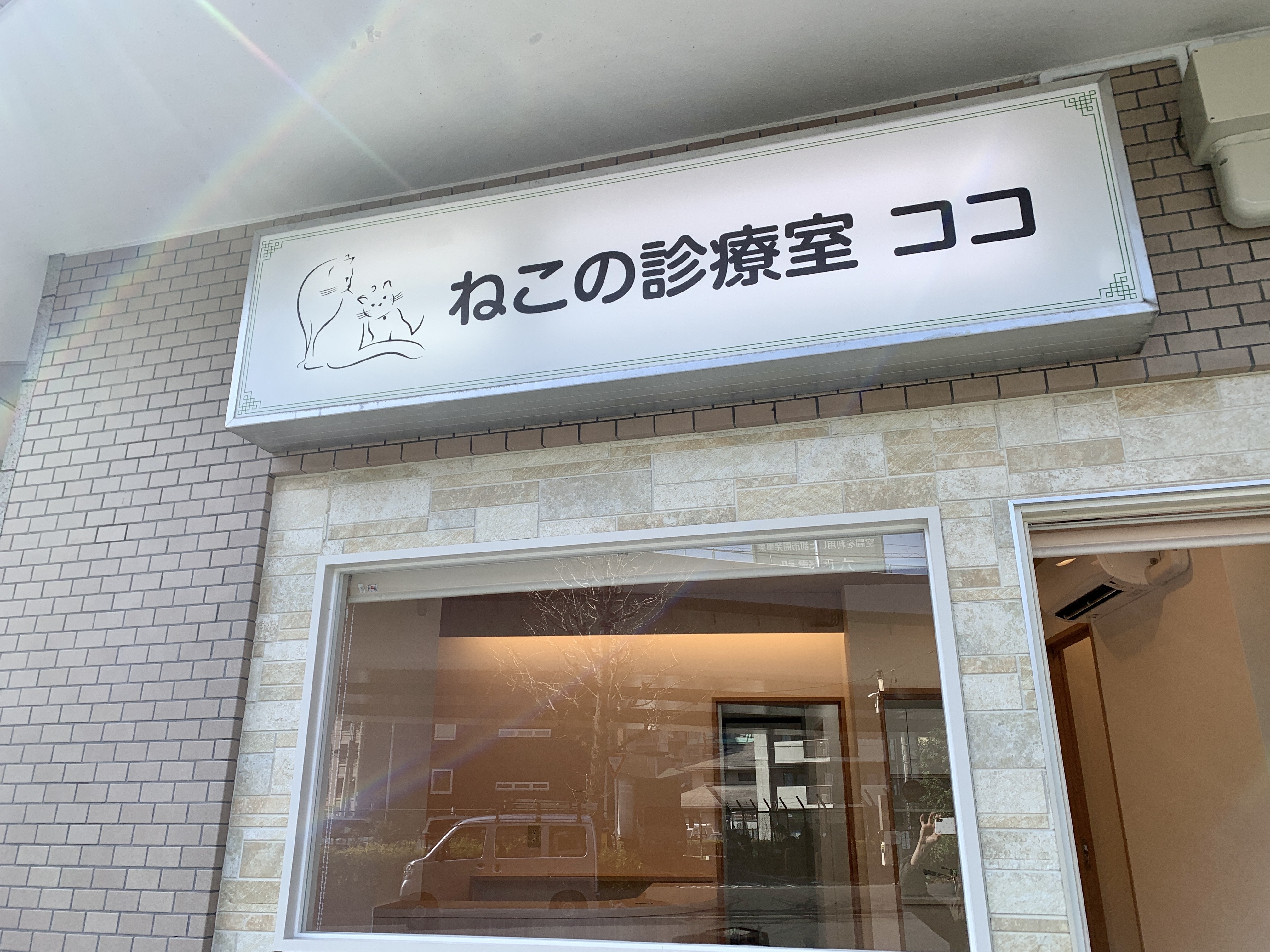 横浜の猫専門病院｜ねこの診療室ココ